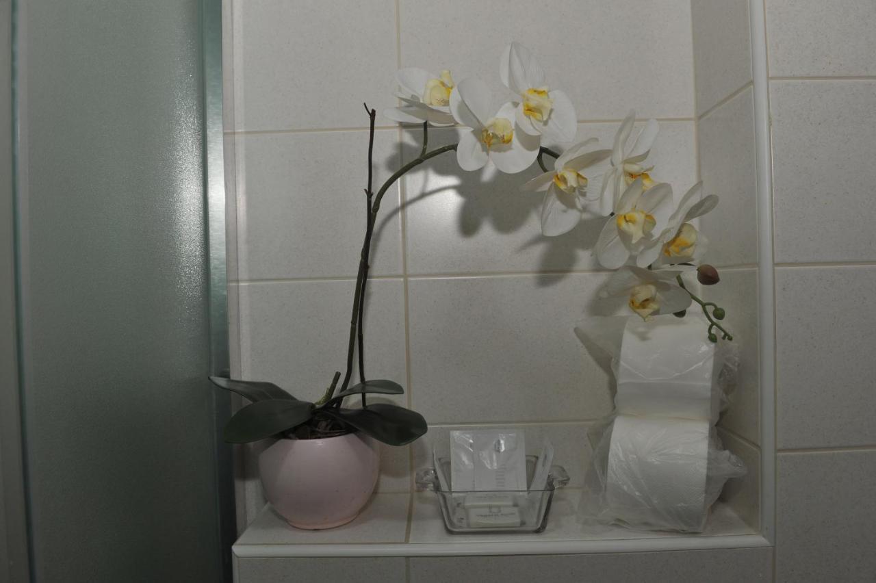 סרמסקה מיטרוביקה Angellina Apartmani מראה חיצוני תמונה