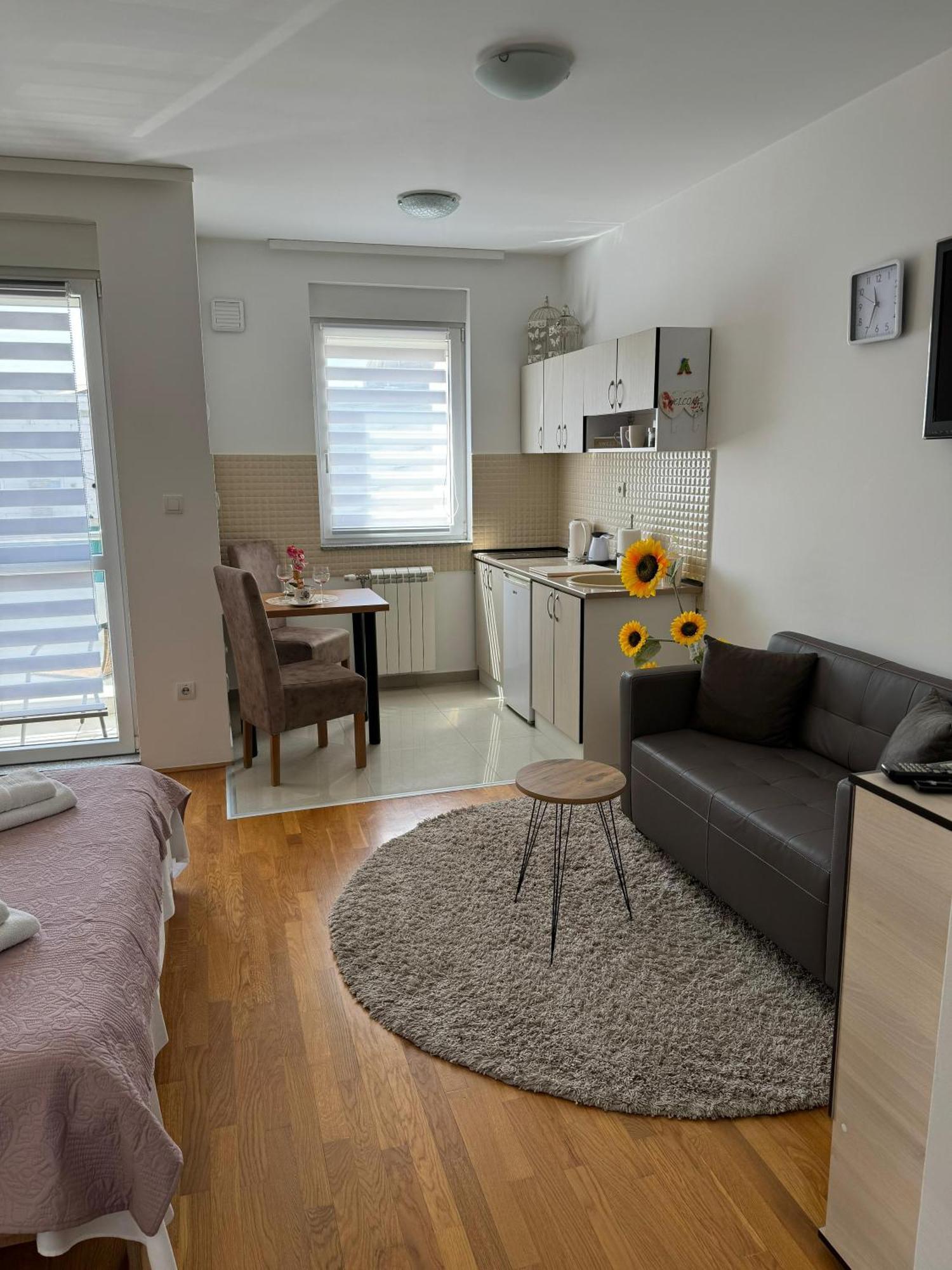 סרמסקה מיטרוביקה Angellina Apartmani מראה חיצוני תמונה