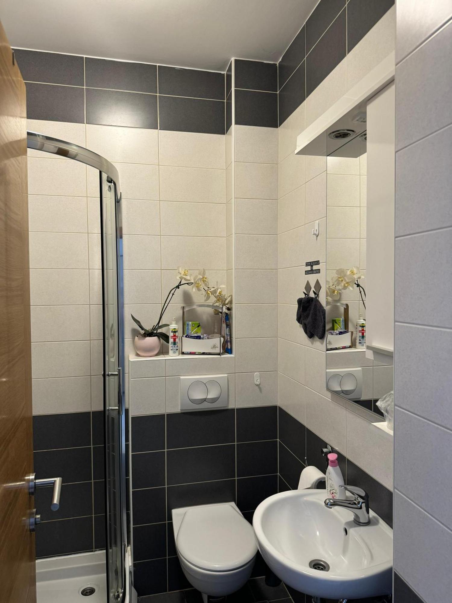 סרמסקה מיטרוביקה Angellina Apartmani מראה חיצוני תמונה